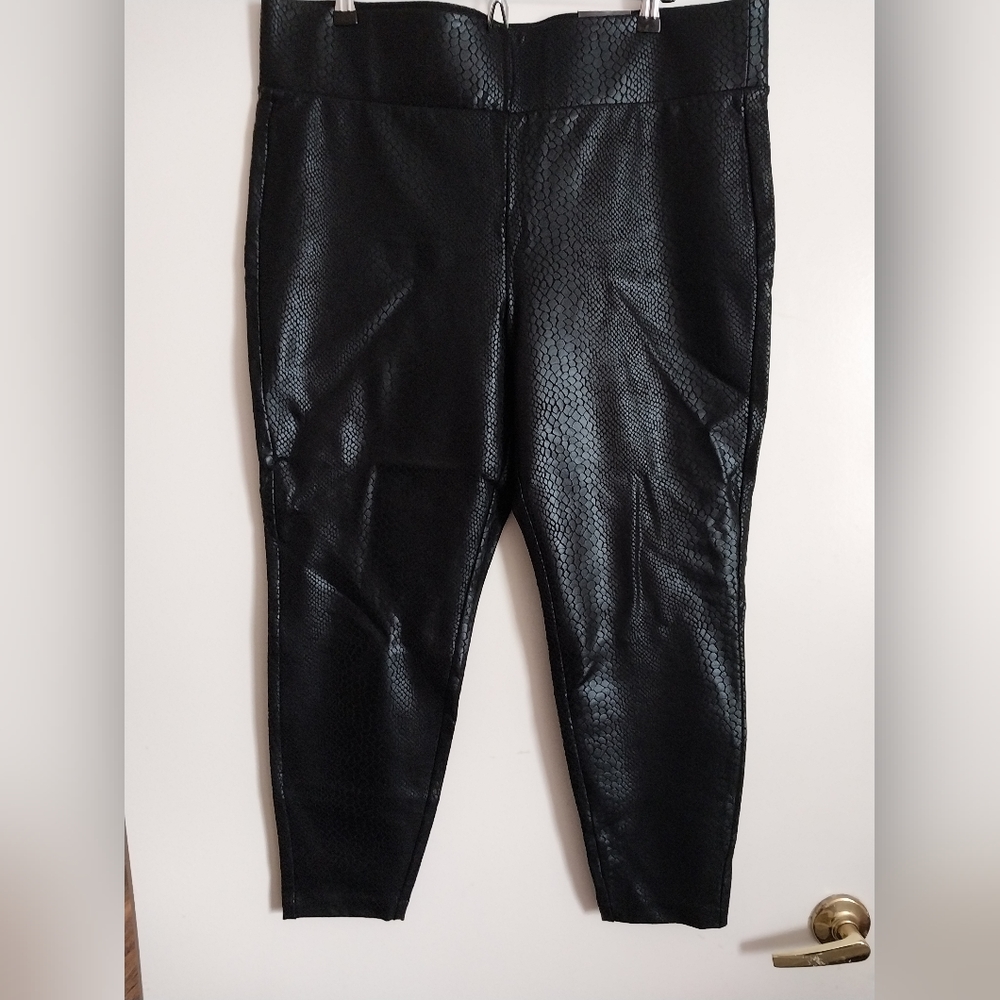 Torrid Pixi pants